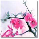 📰 Celebrating Women: A Tribute to Hazrat Fatima Zahra (PBUH) at Kermanshah University