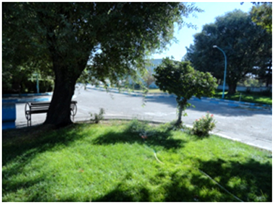 عکس دانشکده