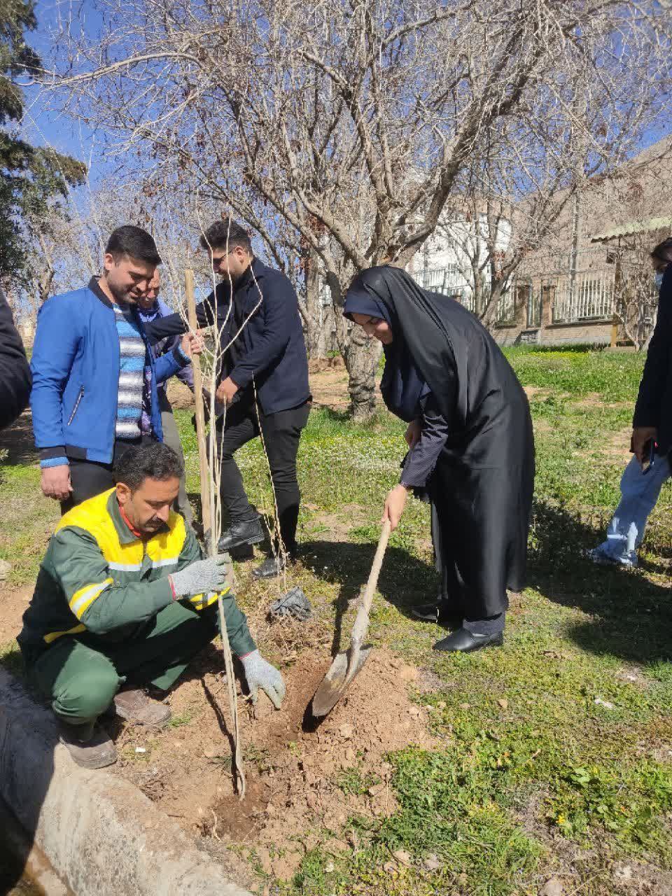 جشن پایان سال 1402 و روز درختکاری