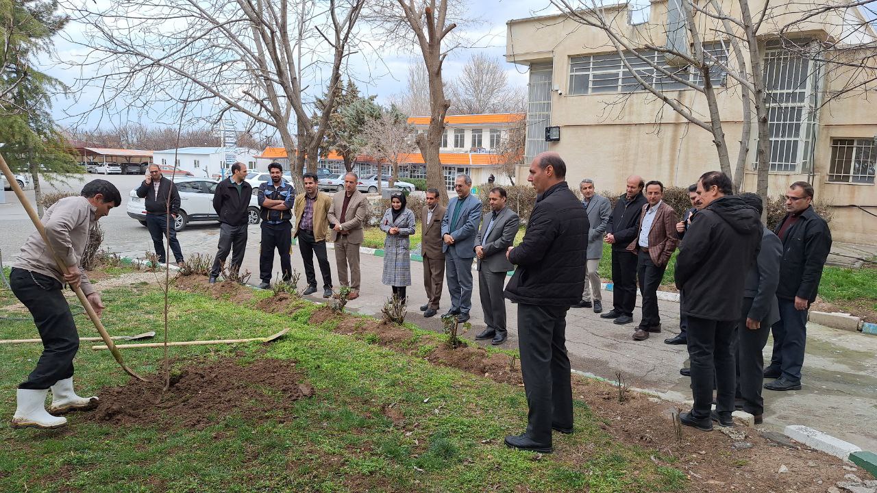 جشن پایان سال 1402 و روز درختکاری